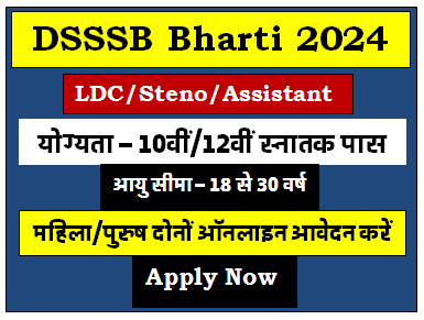 DSSSB LDC Junior Assistant Steno & Other Post Recruitment 2024