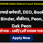 DSSSB Delhi District Court Various Post Recruitment 2024